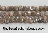 CNG8617 10*13mm - 12*16mm faceted freeform AB-color moonstone beads