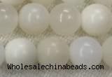 COP1589 15.5 inches 8mm round white opal gemstone beads