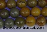 CPJ453 15.5 inches 10mm round wildhorse picture jasper beads
