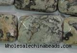 CPT131 15.5 inches 20*30mm faceted rectangle grey picture jasper beads