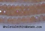 CRB1866 15.5 inches 2*3mm faceted rondelle moonstone beads