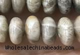 CRB5336 15.5 inches 5*8mm rondelle fossil coral beads wholesale