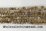 CRG33 15.5 inches 6mm flat star picture jasper beads wholesale