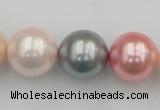 CSB391 15.5 inches 16mm round mixed color shell pearl beads