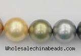 CSB395 15.5 inches 16mm round mixed color shell pearl beads