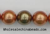 CSB397 15.5 inches 16mm round mixed color shell pearl beads