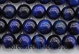 CTE416 15.5 inches 8mm round blue tiger eye beads wholesale
