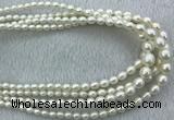 FWP212 15 inches 4mm - 9mm rice white freshwater pearl strands