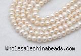 FWP480 14 inches 5mm - 6mm potato white freshwater pearl strands