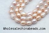FWP502 14 inches 10mm - 11mm baroque lavender freshwater pearl strands