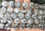 HABS26 15 inches 12mm faceted hexagon sesame Jasper beads wholesale
