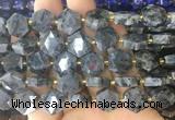 HABS29 15 inches 12mm faceted hexagon black labradorite beads wholesale