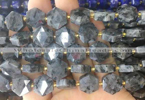 HABS29 15 inches 12mm faceted hexagon black labradorite beads wholesale