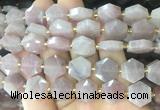 HABS30 15 inches 12mm faceted hexagon moonstone beads wholesale