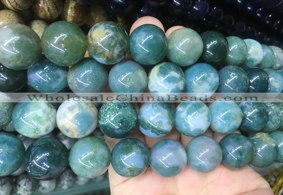 LSBS51 15 inches 16mm round moss agate gemstone beads wholesale