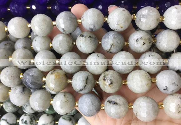 LSBS940 15 inches 16mm faceted round Labradorite gemstone beads wholesale