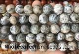 LSBS979 15 inches 16mm round sodalite gemstone beads wholesale