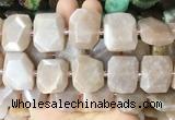 MSBS23 15 inches 15*20mm - 18*25mm faceted freeform moonstone beads