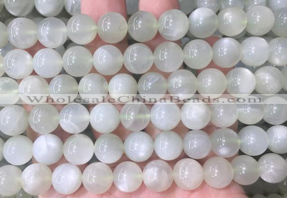 MSBS33 15 inches 10mm round green moonstone gemstone beads wholesale