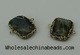 NGC6505 18*25mm - 20*25mm freeform labradorite connectors