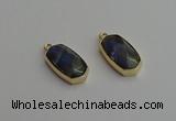 NGP7270 13*25mm faceted freeform labradorite pendants wholesale