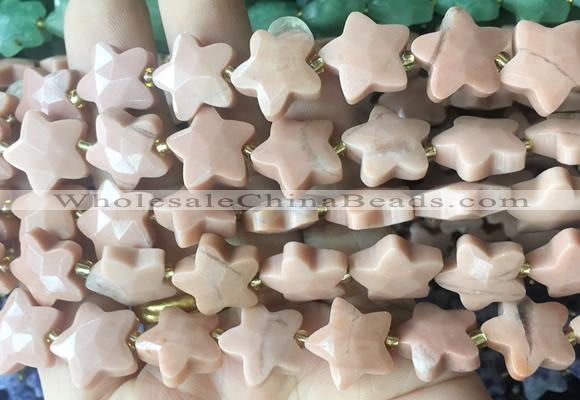 RGBS58 15 inches 14mm faceted star jasper gemstone beads wholesale