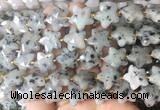 RGBS66 15 inches 14mm faceted star sesame Jasper beads wholesale