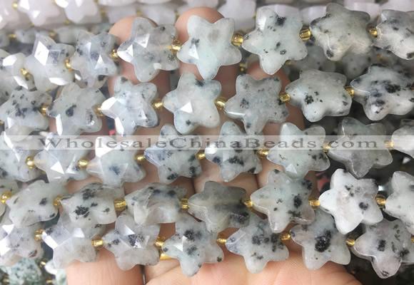 RGBS66 15 inches 14mm faceted star sesame Jasper beads wholesale