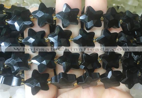 RGBS71 15 inches 14mm faceted star black obsidian beads wholesale