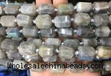 TBBS47 15 inches 12*16mm faceted tube labradorite beads wholesale