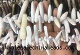 TDBS02 Top drilled 6*20mm - 8*55mm sticks sea urchin shell beads wholesale