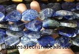TWBS45 15 inches 18*25mm twist oval sodalite beads wholesale